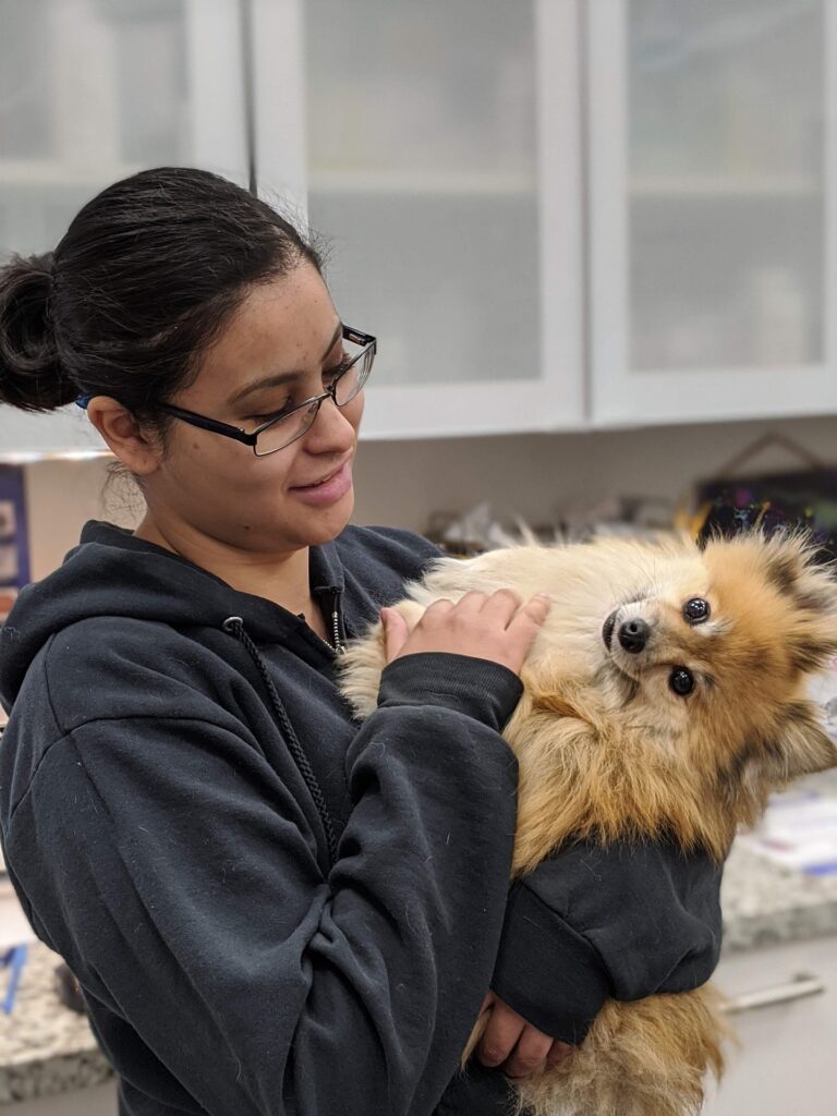 A person is holding a dog in an exam room at a veterinary clinic.