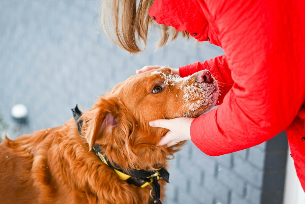 A person in a red winter coat is petting a dog outside.